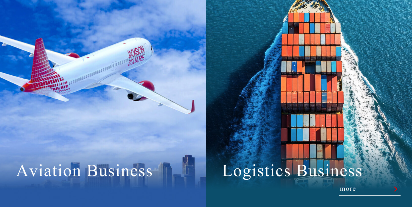 Aviation Business/Logistics Business