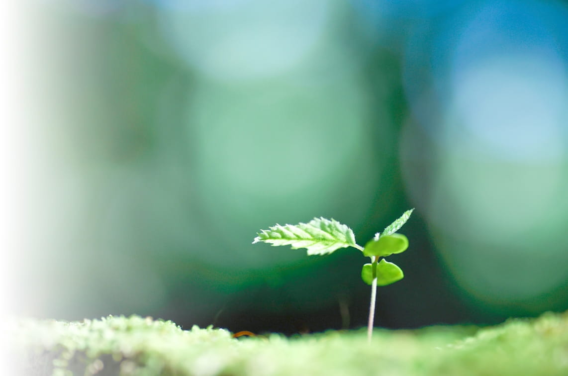 組織横断で取り組む重要テーマ